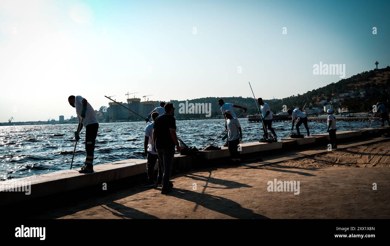 Izmir, Türkei. August 2024. Im Golf von Izmir sind Massenfische aufgrund des Klimawandels und der Umweltverschmutzung gestorben. Tote Fische spülten an der Küste, während Putzmannschaften gesehen wurden, die die Küste von toten Fischen säuberten. Quelle: İdil Toffolo/Alamy Live News Stockfoto
