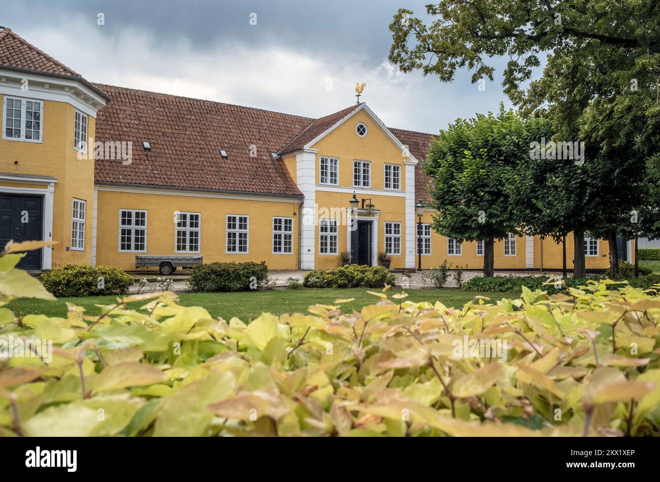 Gelbe Pflanzen vor dem Silkeborg Museum in Silkeborg, Dänemark Stockfoto