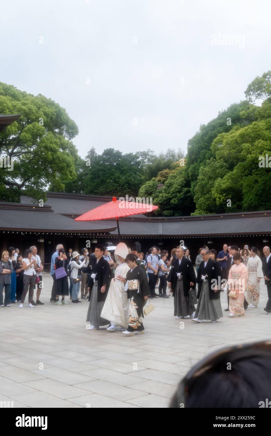 Traditioneller Shinto-Hochzeitszug am Meiji-Schrein in Tokio, Japan, unter einem roten Schirm. Stockfoto