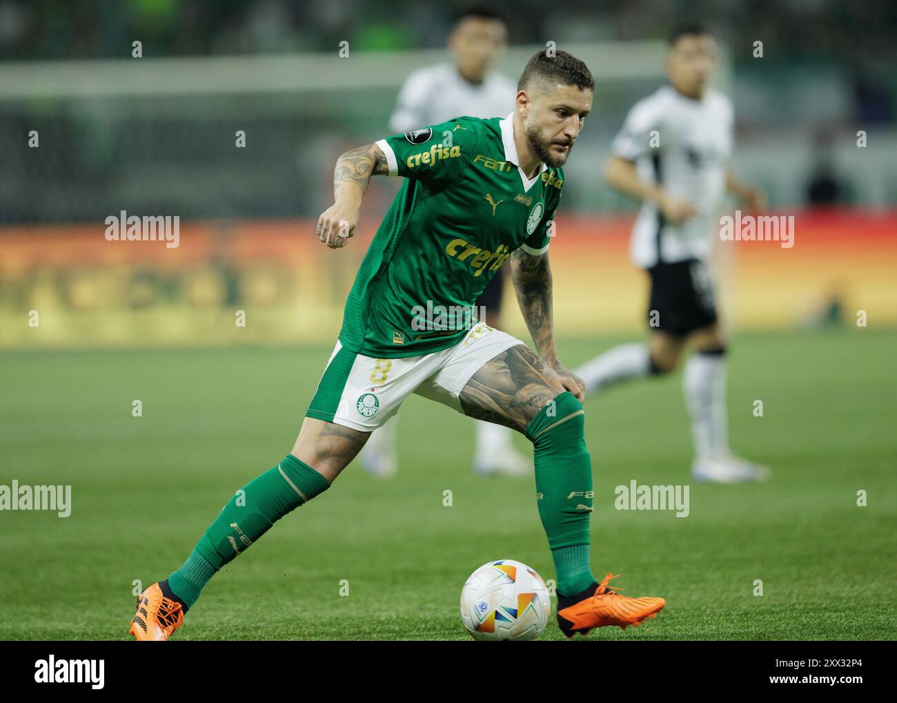 Sao Paulo, Brasilien. August 2024. Fußball - Libertadores Cup - Palmeiras gegen Botafogo - Allianz Parque Stadium. Palmeiras’s Zé Rafael in Action The Match Credit: Vilmar Bannach/Alamy Live News Stockfoto