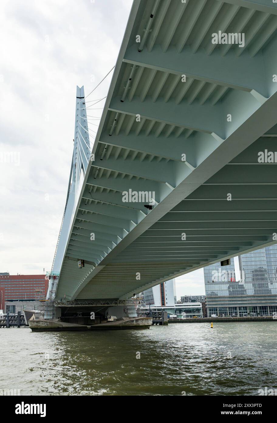 Blick auf die Erasmus-Brücke von unten. Blick auf die Erasmus-Brücke von unten. Schwere Stahlkonstruktion. Reiseziel in Rotterdam, Niederlande. niederlande_rotterdam_erasmusbrug_B97A6572 Stockfoto
