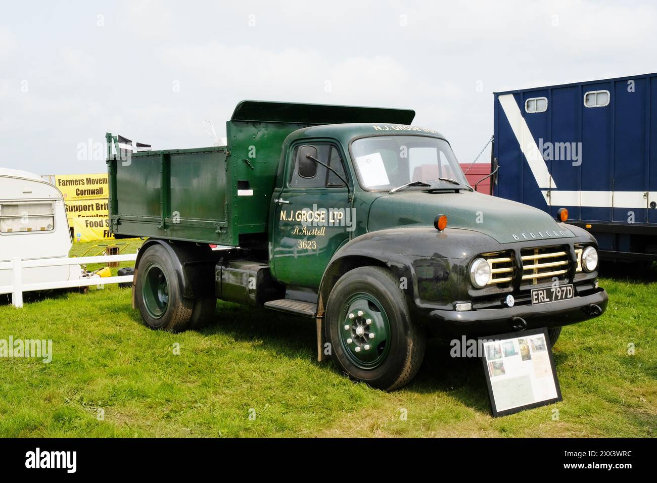 Klassischer Bedford Kipper - John Gollop Stockfoto