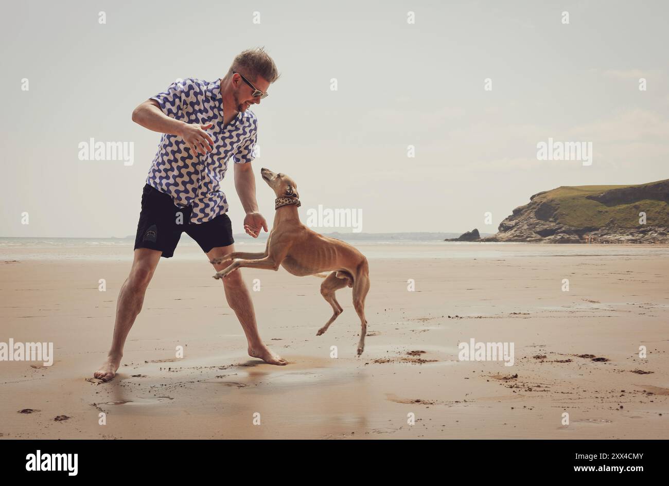 Ein kaukasischer Mann spielt mit Whippet-Hund am Sandstrand, genießt den Sommertag am Meer, sorglosen aktiven Lebensstil mit Haustier am Sandstrand mit Meer Stockfoto