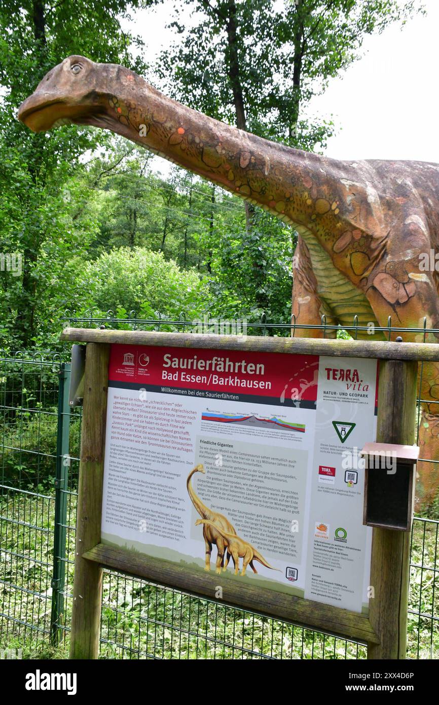 Saurierspuren in Barkhausen am Weg zu den Dinosaurierspuren stehen ein lebensgroßer Dinosaurier. Die Dinosaurierfährten zeigen versteinerte Fußspuren von verschiedenen Dinosauriern. Durch tektonische Bewegung werden die Spuren zu einer fast senkrechten Wand aufgestellt. Die Spuren sind auf einer Fläche von ca. 6 Meter mal 10 Meter zu sehen. Sie wurden 1921 in einem alten Steinbruch gefunden und 1982 unter Naturschutz gestellt. Ein Dach schützt die Spuren vor Verwitterung. Das Gelände gehört zum Terra Vita Naturpark und ist öffentlich begehbar. Bad Essen Niedersachsen Deutschland *** Dinosaur trac Stockfoto