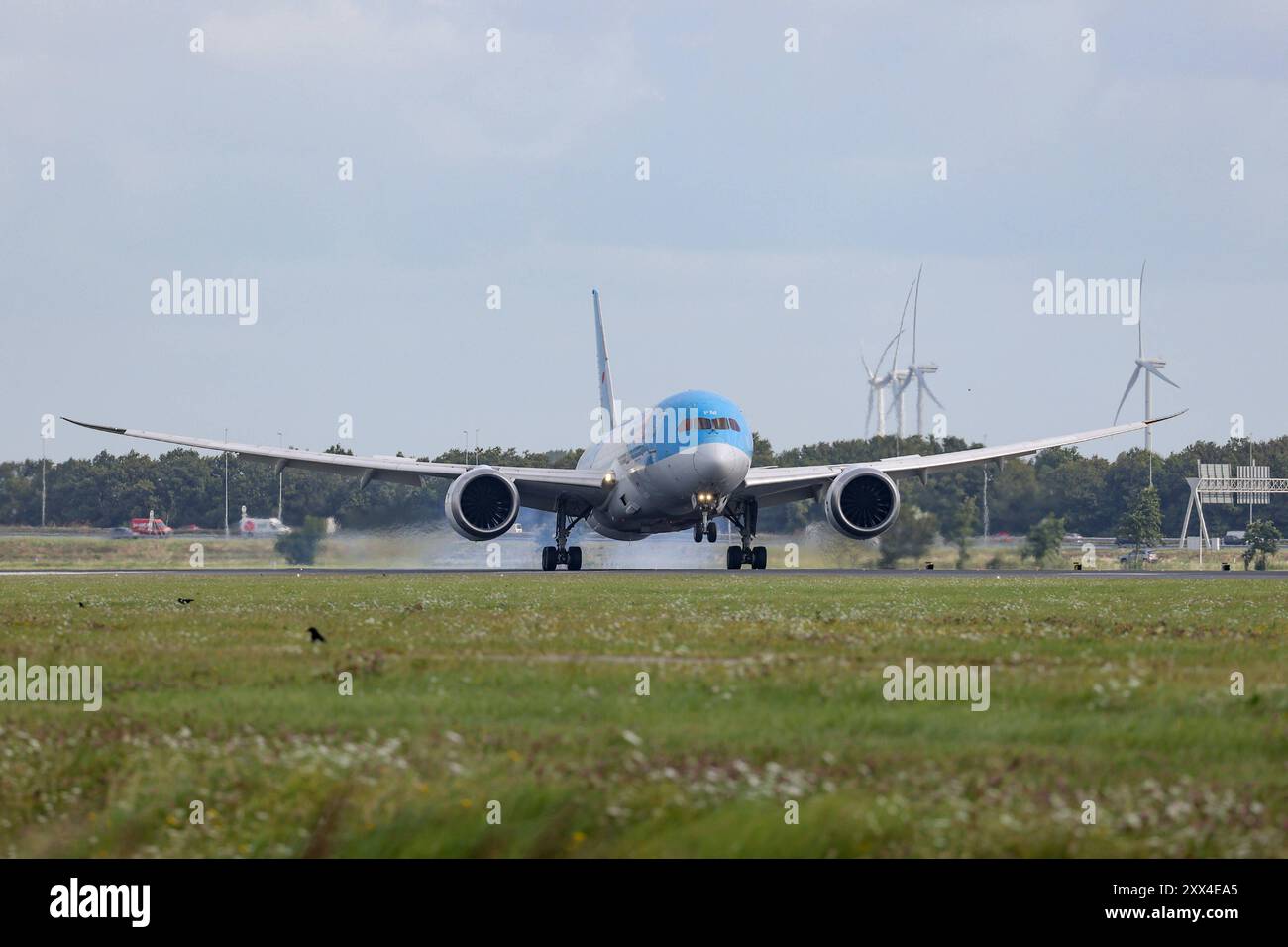 Ein Flugzeug der Fluggesellschaft TUI TUI Airlines Nederland, Boeing 787-8 Dreamliner, Kennung PH-TFM landet auf dem Flughafen Amsterdam Schiphol Flughafen Amsterdam Schiphol am 21.08.2024 in Amsterdam/Niederlande. *** Ein Flugzeug der Fluggesellschaft TUI TUI Airlines Nederland , Boeing 787 8 Dreamliner, Registrierung PH TFM landet am 21. 08 2024 in Amsterdam Niederlande am Flughafen Amsterdam Schiphol Stockfoto