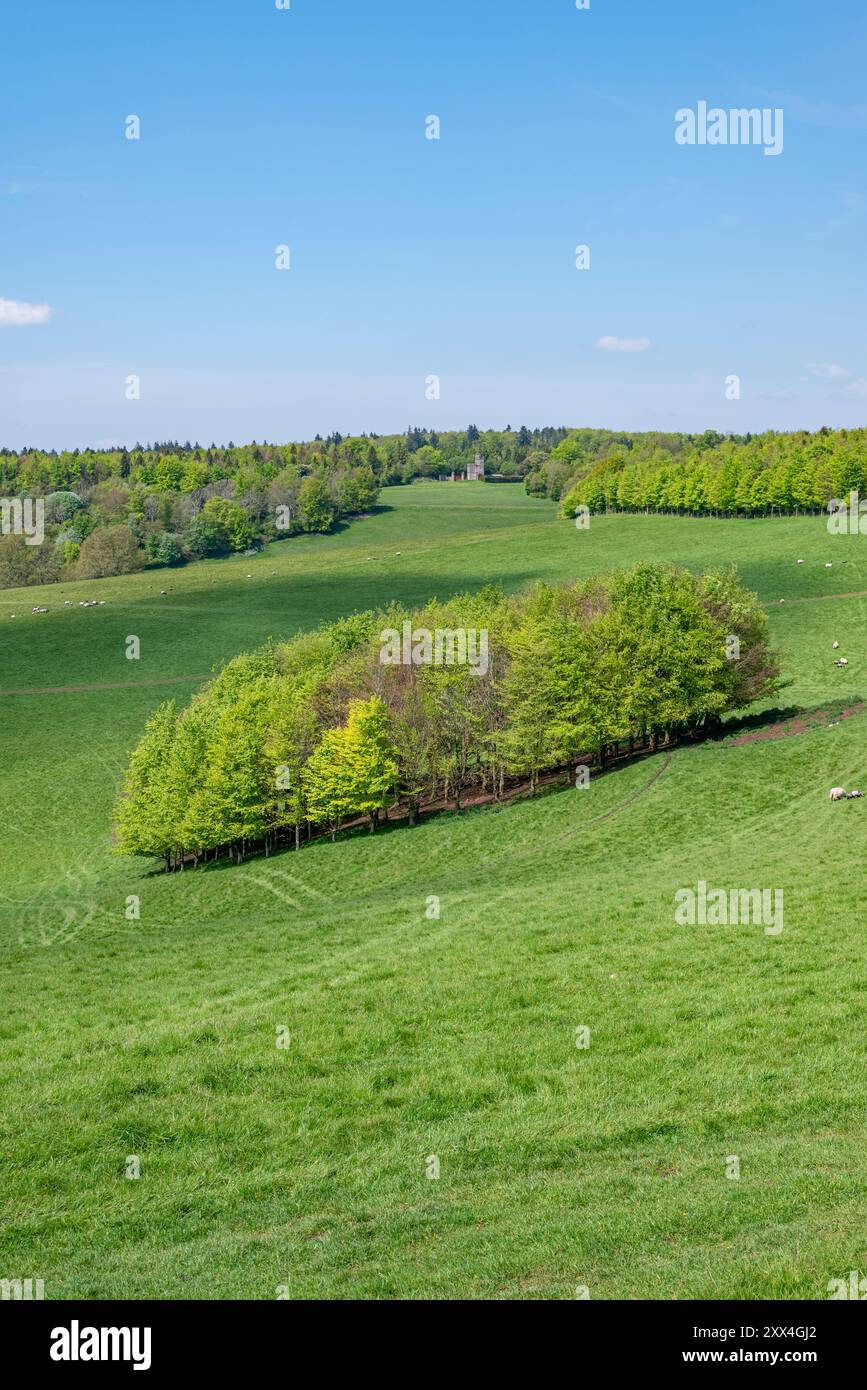 Malerischer Arundel Park im Frühling - Arundel, Souith Downs National Park, West Sussex, Südengland, Großbritannien. Stockfoto