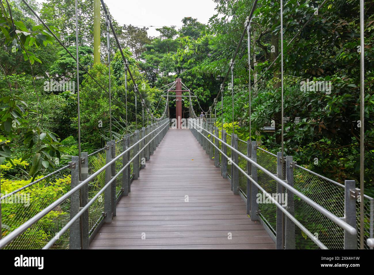 Symmetrischer Blick auf die Hängebrücke, umgeben von grünem Lebensraum im Bird Paradise Park. Mandai Wildreservat. Singapur. Stockfoto