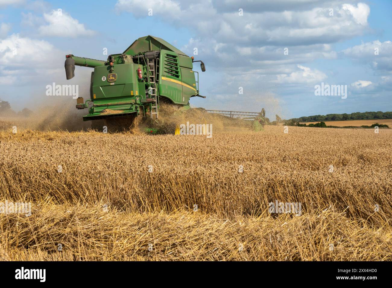 Mähdrescher im Weizenfeld, East Garston, Berkshire, England, Vereinigtes Königreich, Europa Stockfoto