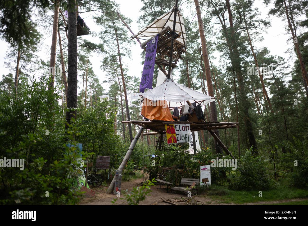 22. August 2024, Brandenburg, Grünheide: Ein Stativ steht im Protestlager der Tesla-Fabrik der Initiative „Stop Tesla“. Seit Ende Februar besetzen die Aktivisten einen Waldabschnitt neben der Fabrik des Elektroautos. Foto: Sebastian Gollnow/dpa Stockfoto