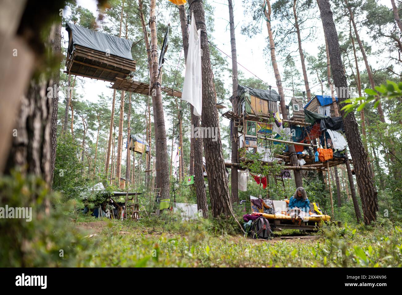 22. August 2024, Brandenburg, Grünheide: Ein Besucher sitzt im Protestlager der Tesla-Fabrik, die von der Initiative "Stop Tesla" betrieben wird. Seit Ende Februar besetzen die Aktivisten einen Waldabschnitt neben der Fabrik des Elektroautos. Foto: Sebastian Gollnow/dpa Stockfoto