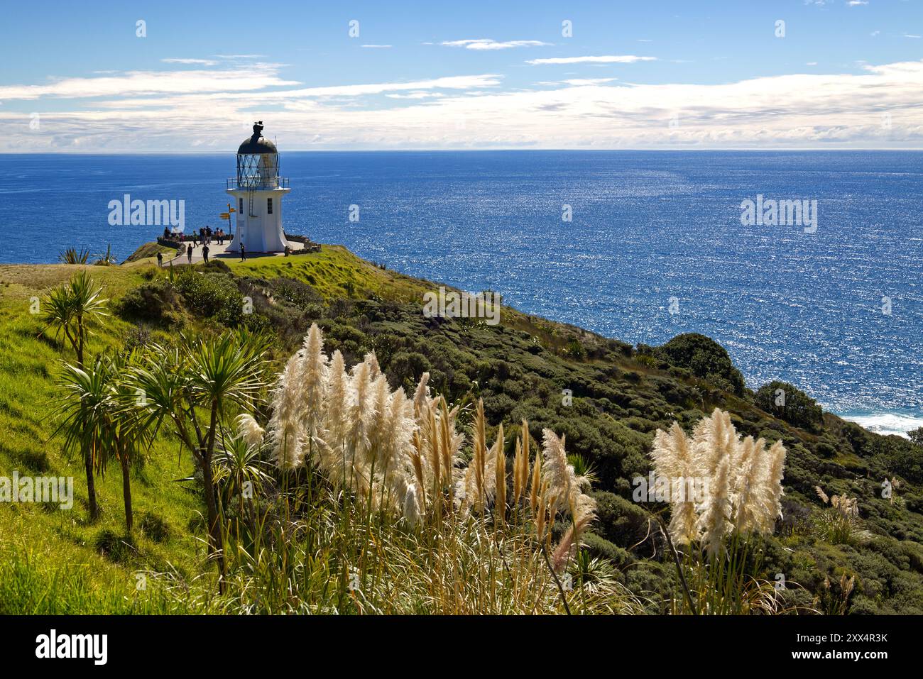 Cape Reinga Leuchtturm an der äußersten Nordspitze der Nordinsel, Neuseeland. Kohlpalmen und Pampasgras wachsen im Vordergrund Stockfoto