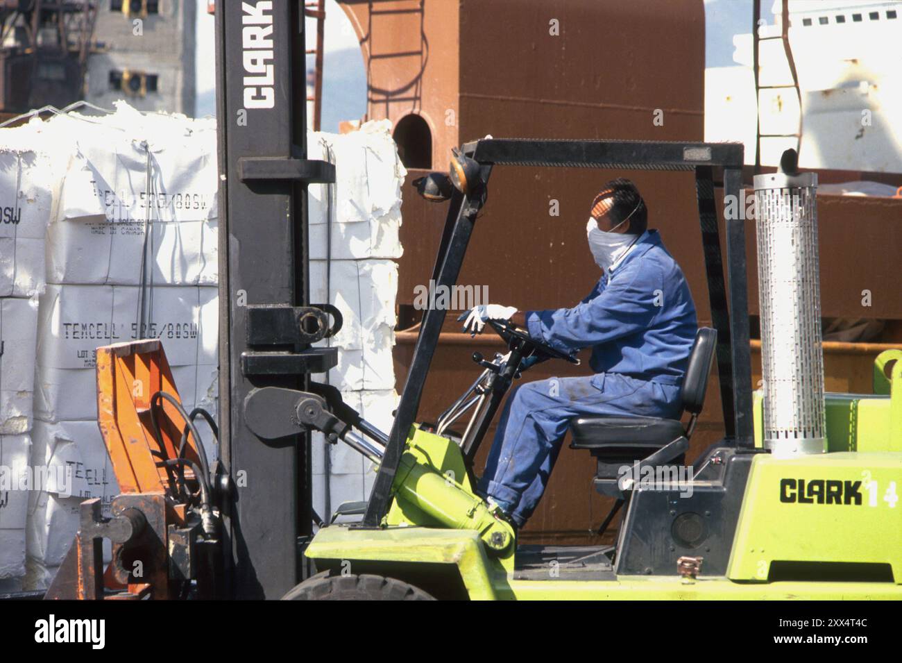 Ladung von Gütern auf einem Frachtschiff im Hafen von Genua (Italien) Stockfoto