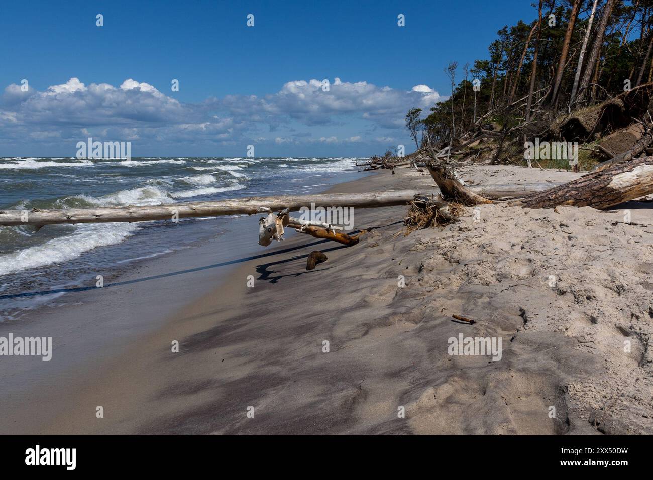 Wanderung am Weststrand Stockfoto