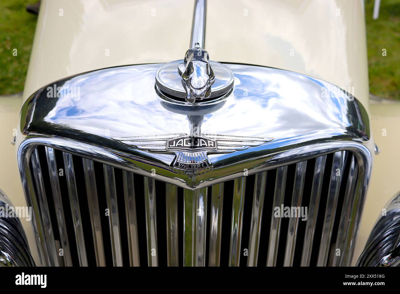Das verchromte Kühlergrill und das Maskottchen des Kühlerdeckels von Cat mit einem Dreieinhalb-Liter-Klassiker der Jaguar Sportlimousine nach dem Krieg. Stockfoto