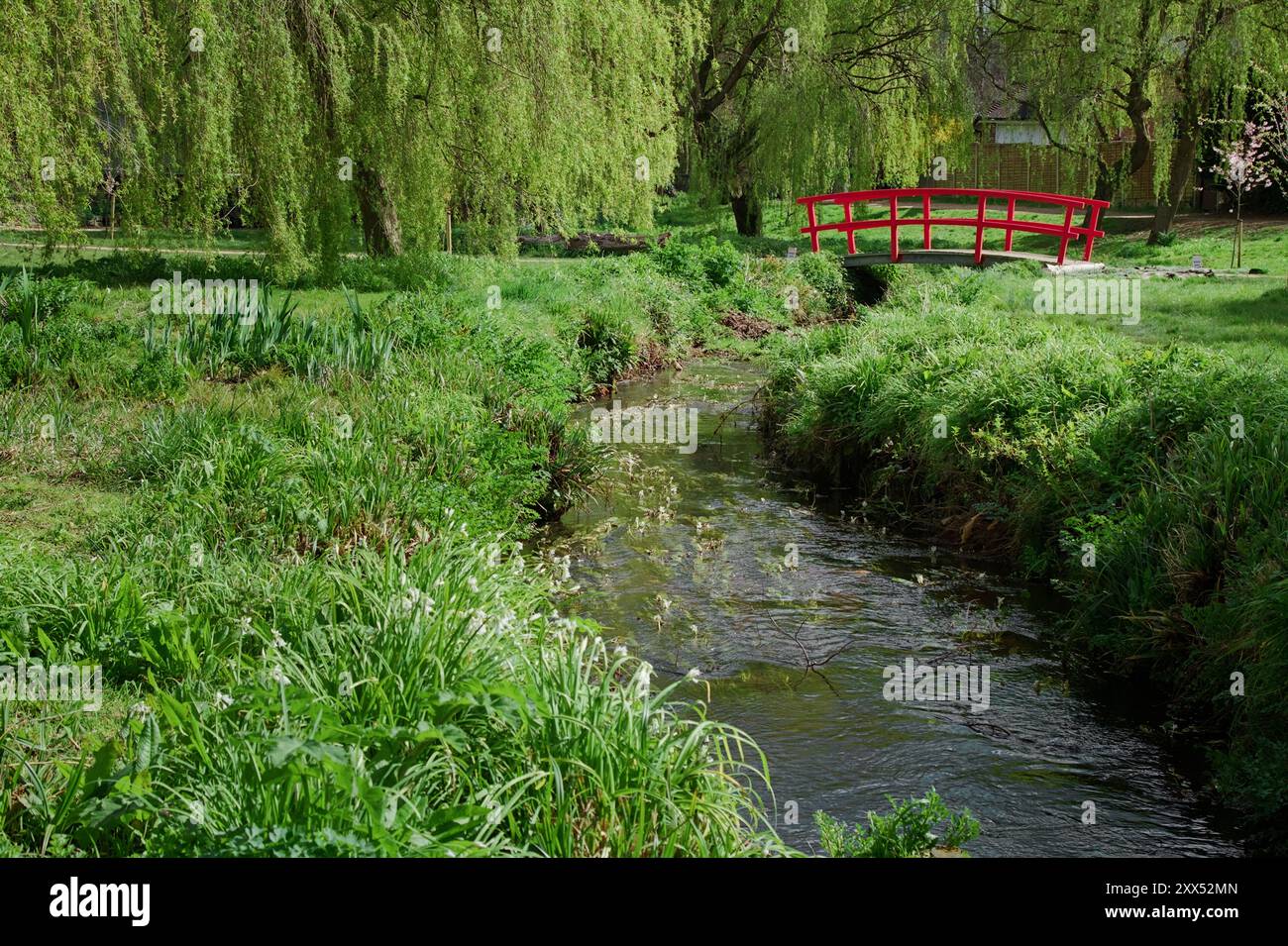 Red Japanese Style Bridge over the Bourne Stream, Coy Pond, Bournemouth UK Stockfoto