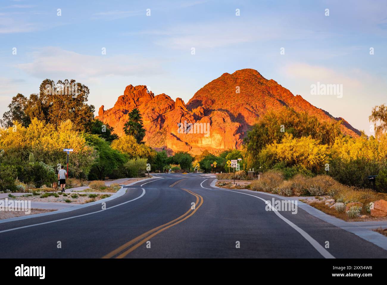 Straßenblick auf Camelback Mountain in Paradise Valley, Arizona, USA. Stockfoto