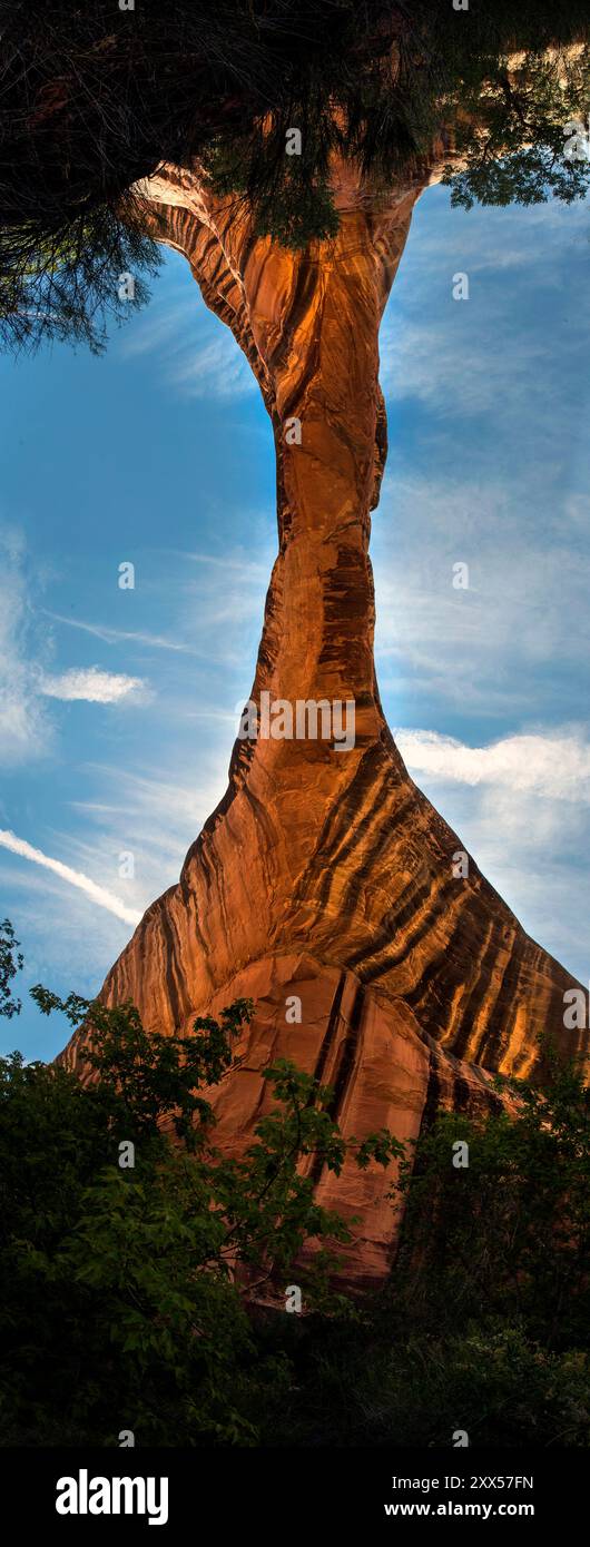 Blick unter der Sipapu Bridge im Natural Bridges National Monument, Utah. Stockfoto