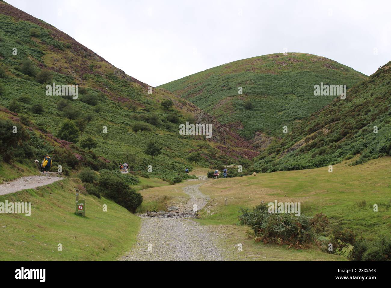 Carding Mill Valley, Shropshire Hills, Shropshire, England, Großbritannien Stockfoto