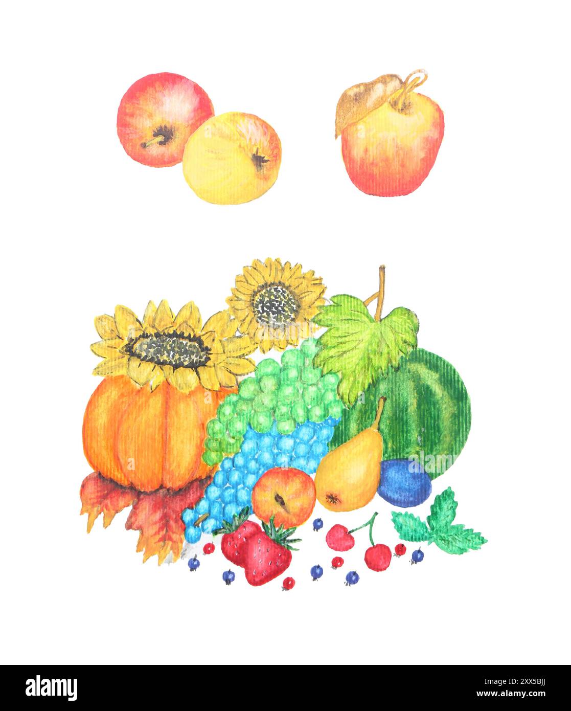 Aquarellmalerei von verschiedenen Gemüse, Früchten und Beeren isoliert auf weiß Stockfoto