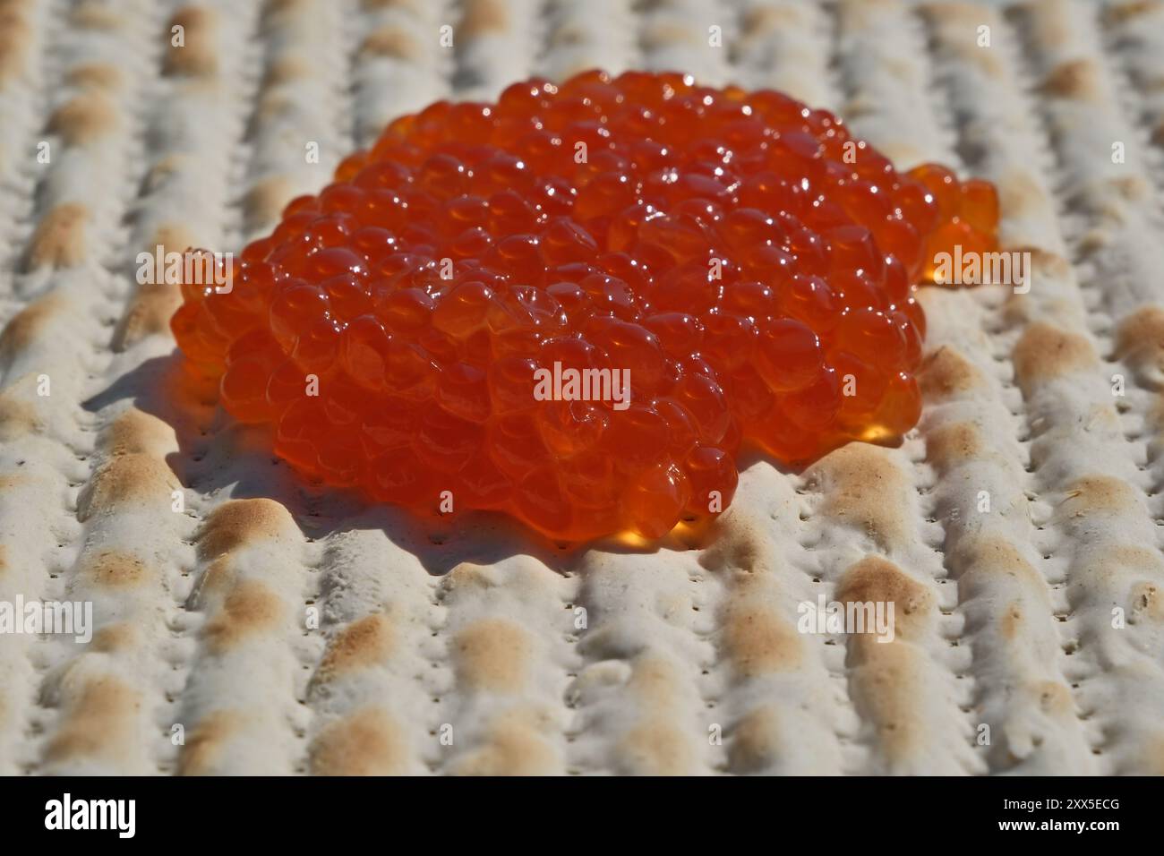 Roter Kaviar auf einem Matzah-Brot, Nahaufnahme des Fotos. Geringe Schärfentiefe Stockfoto