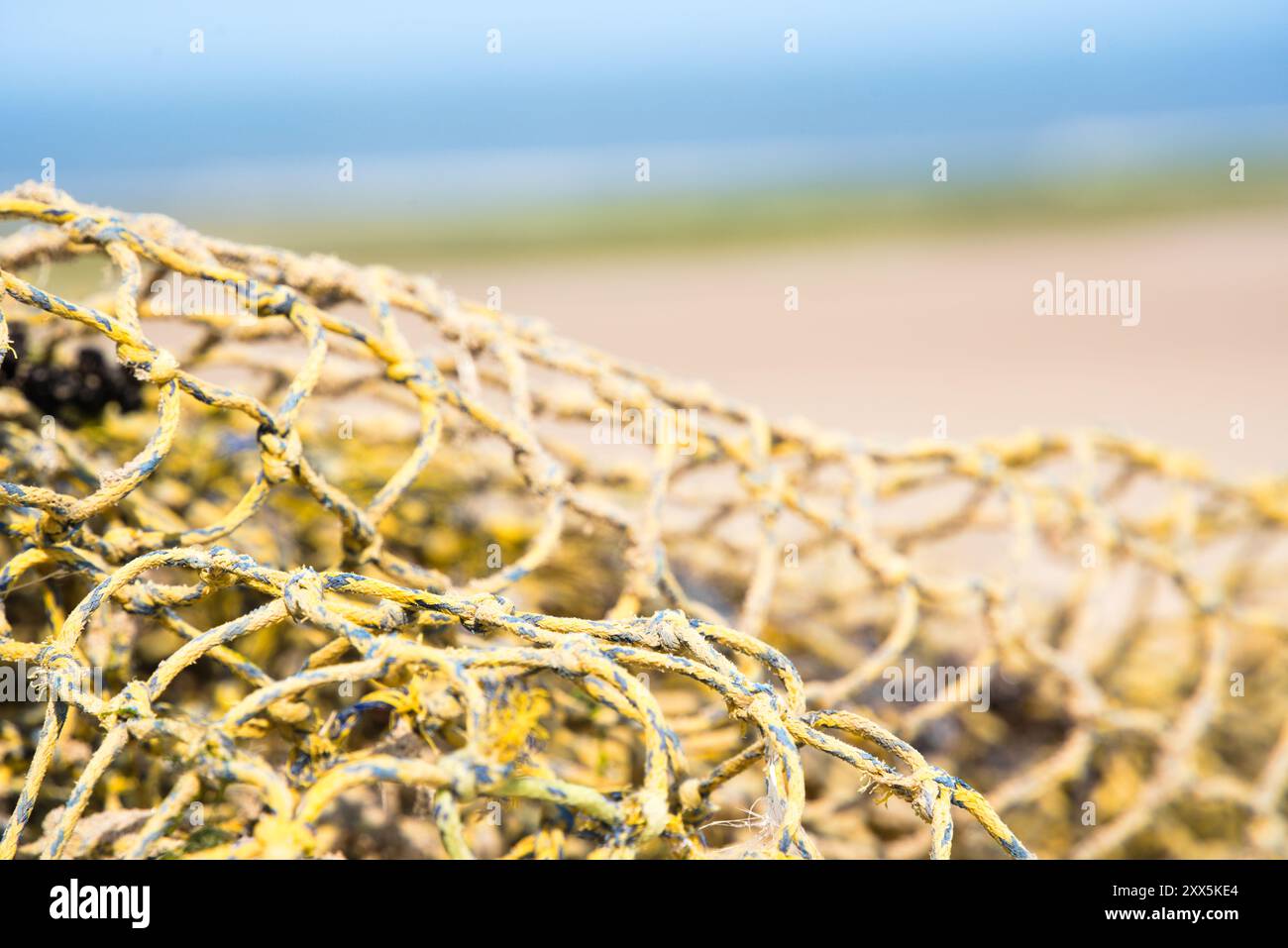Heller Kontrast: Gelbes Netz, das am Strand 2 an Land gewaschen wird Stockfoto