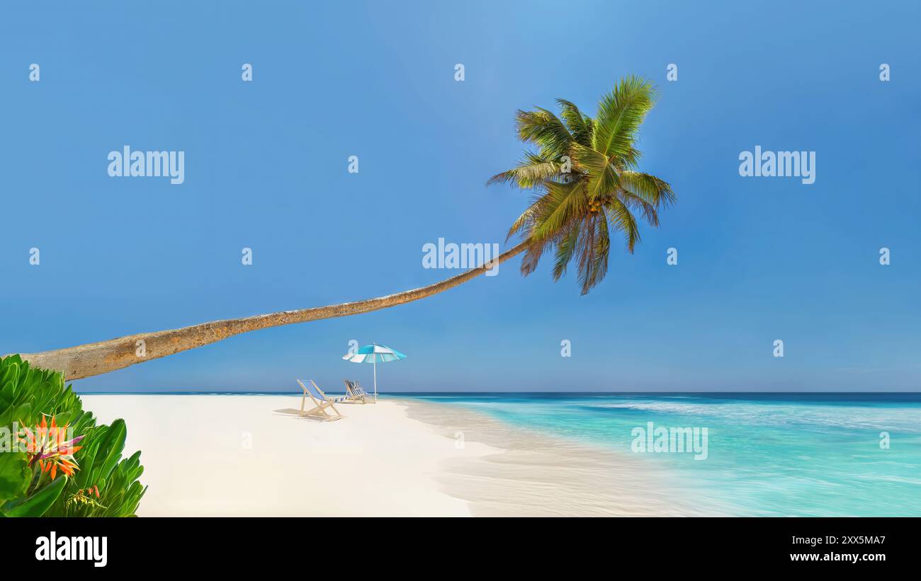 Eine Kokospalme am Strand auf Lankanfinolhu Island auf den Malediven Stockfoto