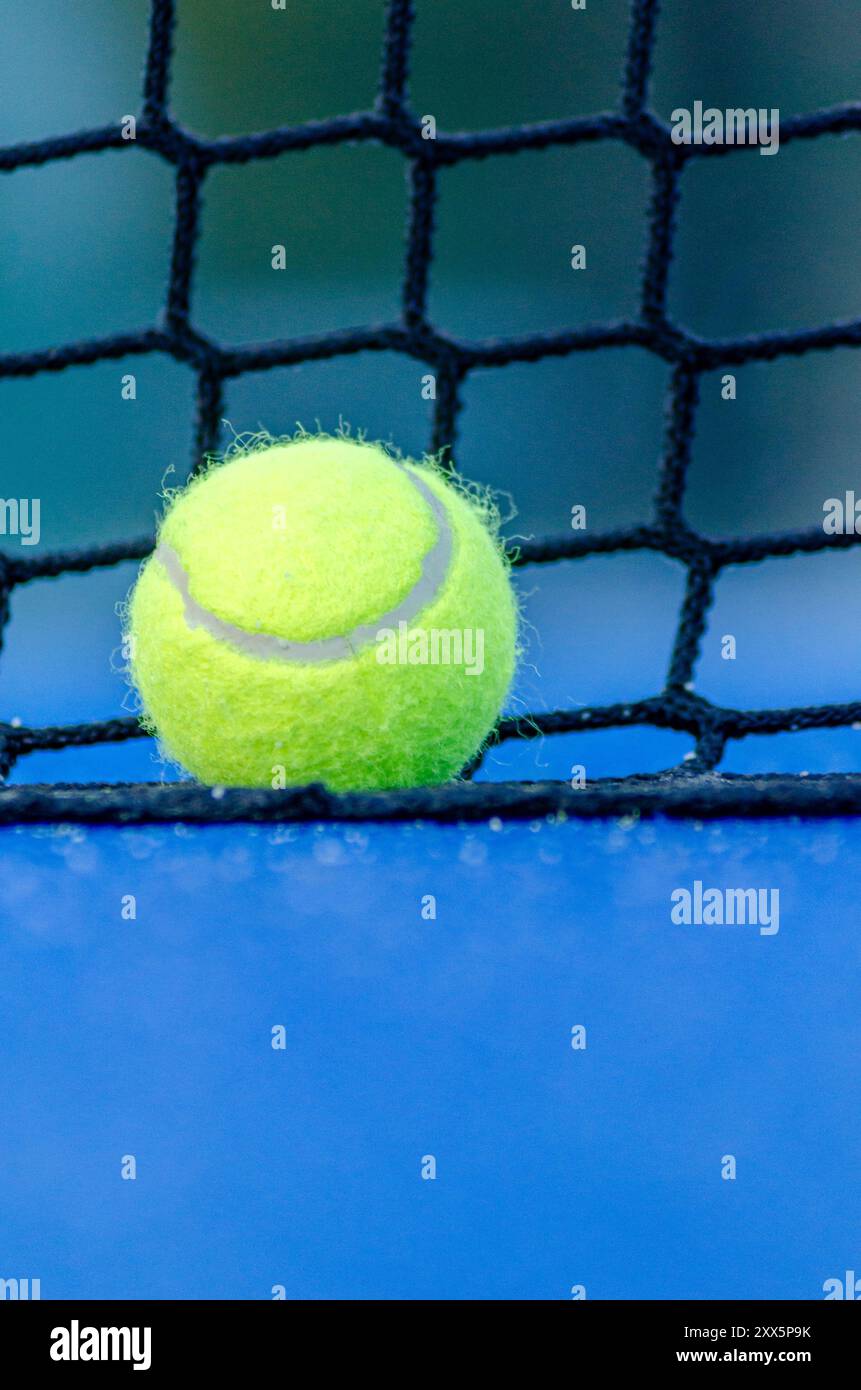 Paddle-Tennisball neben dem Netz eines blauen Paddle-Tennisplatzes, Sporttapete für Schläger Stockfoto