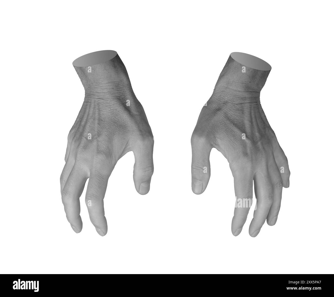 Fangen, Greifen, Nehmen mit beiden Händen isoliert auf weißem Hintergrund. Stockfoto