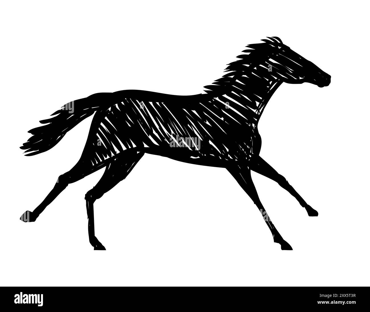 Zeichnung Skizze Stil Illustration eines Pferdehengstes oder Pony laufen galoppierende Seitenansicht auf isoliertem Hintergrund in schwarz-weiß ilne A Stock Vektor