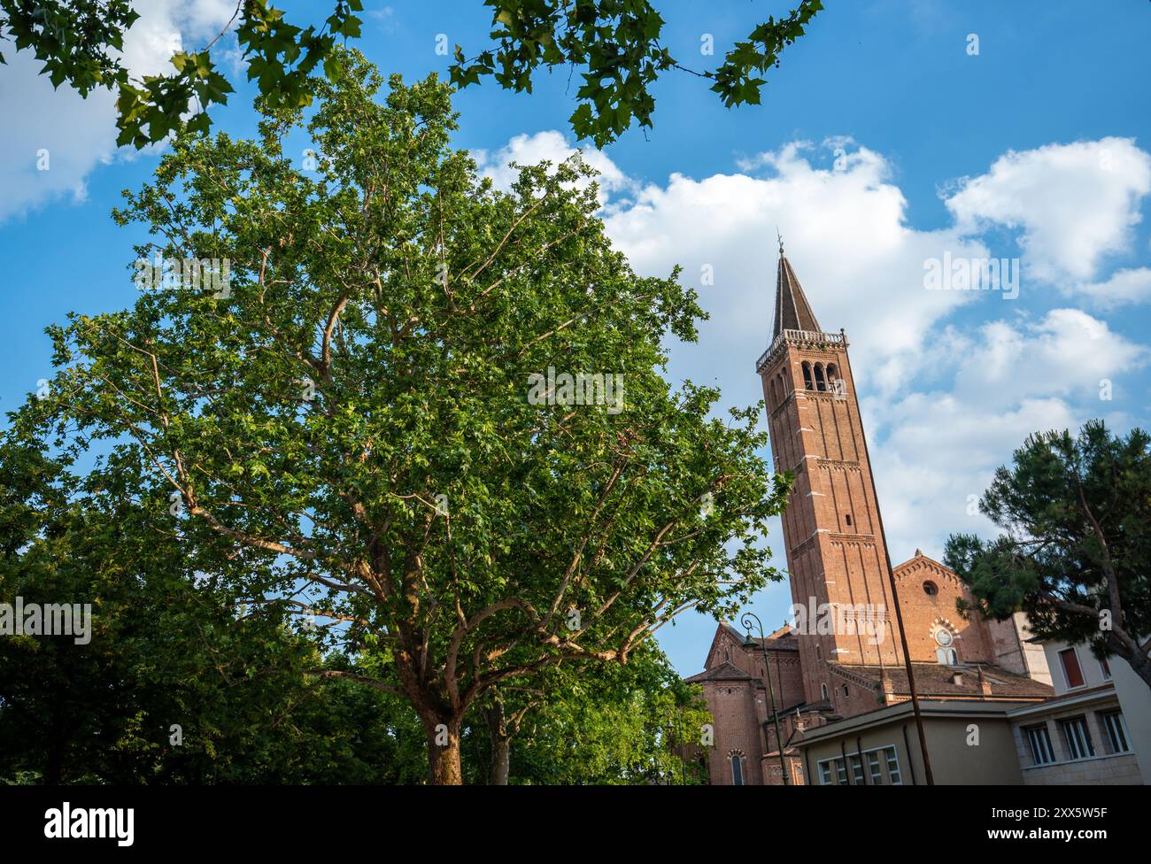 Verona, Italien - 06. Juni 2024: Turm der Basilika di Santa Anastasia nach den Bäumen. Stockfoto