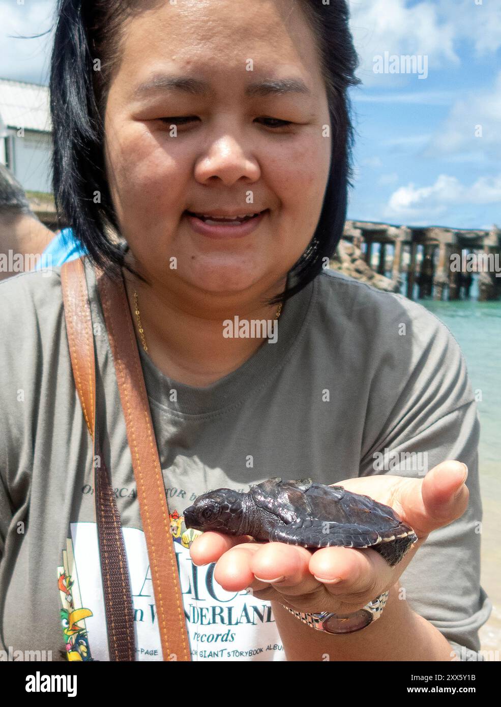 Eine Besucherin sah, wie sie Meeresschildkröten-Schlüpflinge auf der Hand platzierte, bevor sie am Strand des Sea Turtle Conservation Center wieder ins Meer zurückgelassen wurden. Das Sea Turtle Conservation Center der Royal Thai Navy wurde gegründet, um vier Arten von Meeresschildkröten in Thailand zu schützen und zu erhalten: Die Lederschildkröte, die grüne Schildkröte, die Karettschildkröte und die Oliven-Ridley-Schildkröte, die alle vom Aussterben bedroht sind. Das Zentrum überwacht die Eiinkubation, hält Meeresschildkröten in ihren frühen Stadien und lässt sie dann wieder in die Wildnis zurück. Stockfoto