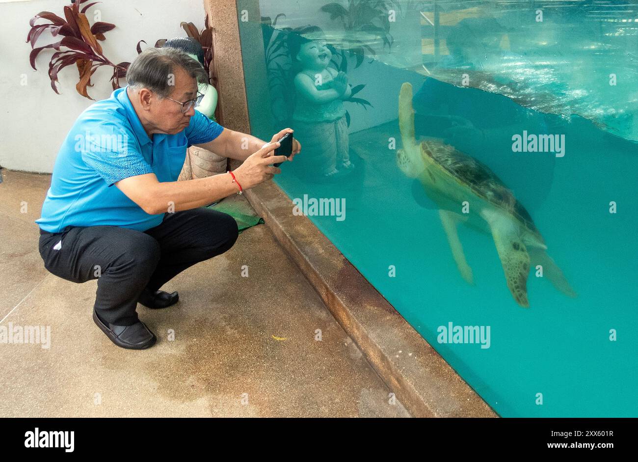 Ein Besucher sah Fotos von Meeresschildkröten im Ausstellungsbereich des Sea Turtle Conservation Center - Royal Thai Navy. Das Sea Turtle Conservation Center der Royal Thai Navy wurde gegründet, um vier Arten von Meeresschildkröten in Thailand zu schützen und zu erhalten: Die Lederschildkröte, die grüne Schildkröte, die Karettschildkröte und die Oliven-Ridley-Schildkröte, die alle vom Aussterben bedroht sind. Das Zentrum überwacht die Eiinkubation, hält Meeresschildkröten in ihren frühen Stadien und lässt sie dann wieder in die Wildnis zurück. (Foto: Pongmanat Tasiri/SOPA Images/SIPA USA) Stockfoto