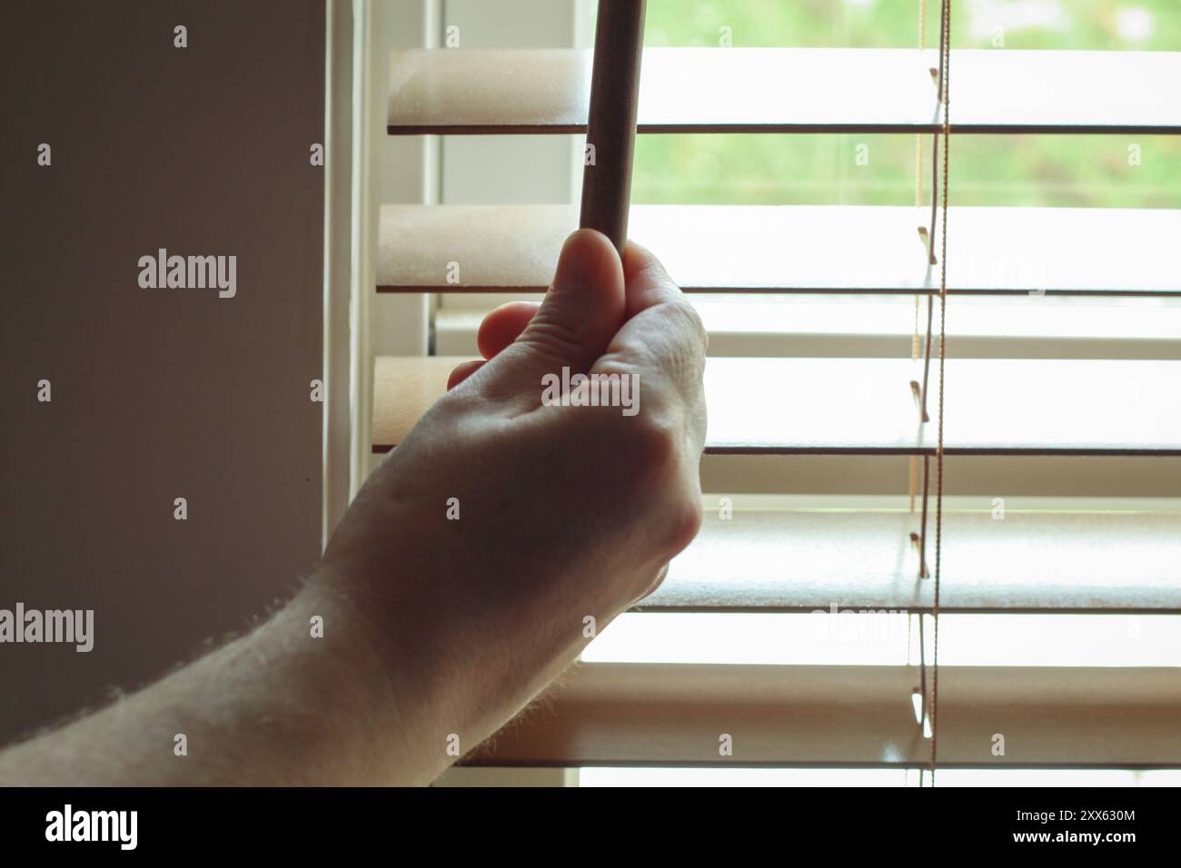 Nahaufnahme der Hand des Mannes, die Fensterläden für helles Tageslicht öffnet Stockfoto