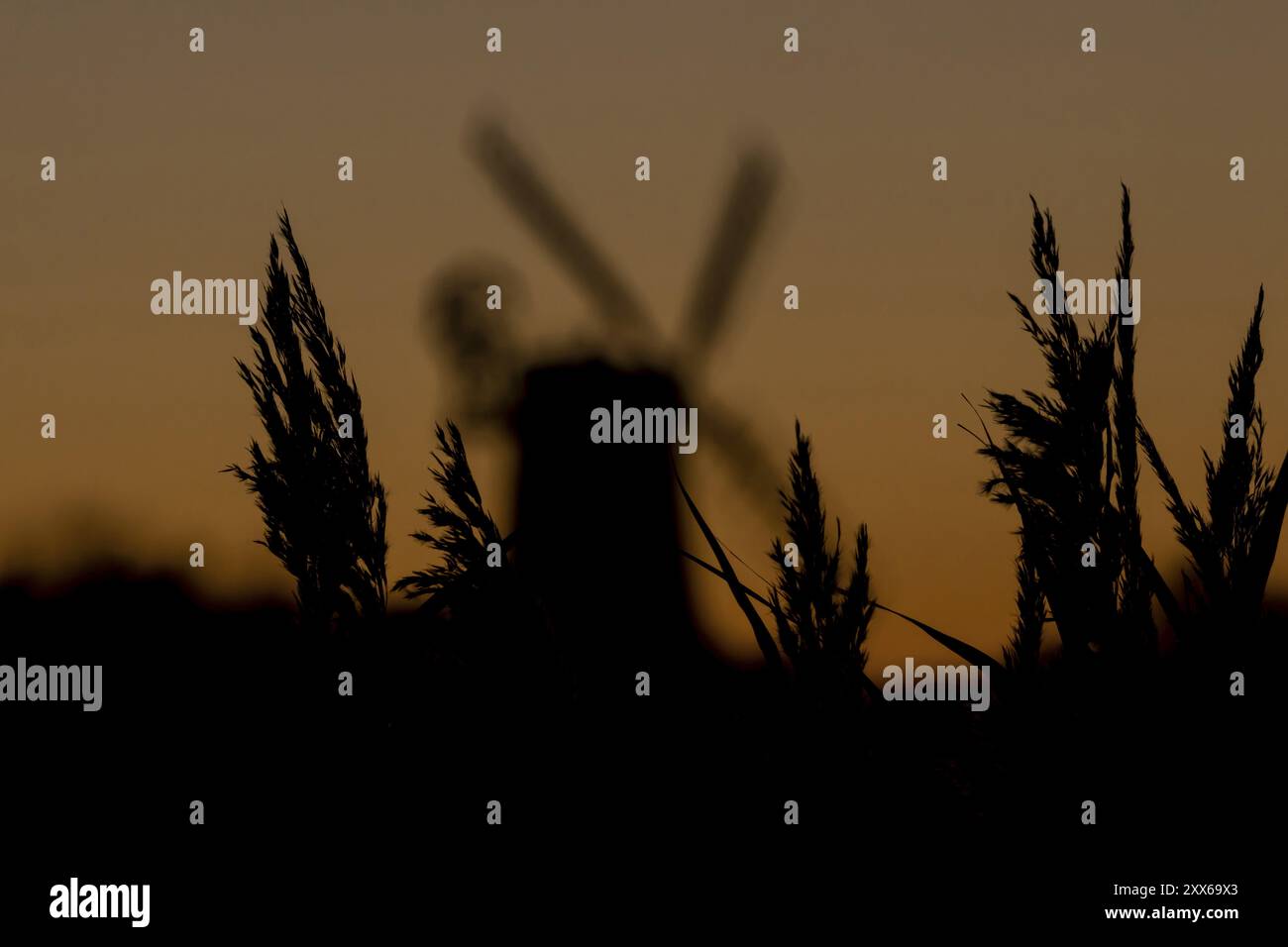 Silhouette der Windmühle bei Sonnenuntergang mit rotem Himmel und Schilf im Vordergrund, Cley-neben-dem-Meer, Norfolk, England, Vereinigtes Königreich, Europa Stockfoto