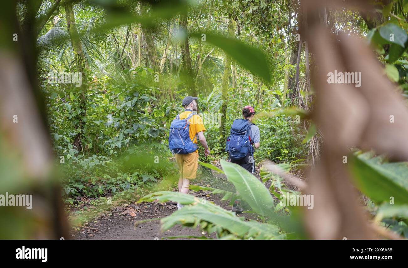 Touristen erkunden Regenwald, dichte Vegetation, Tortuguero Nationalpark, Costa Rica, Mittelamerika Stockfoto