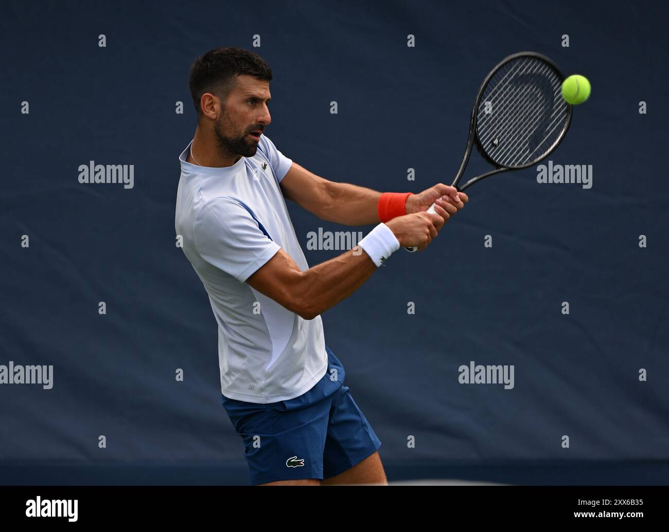 Flushing NY, USA. August 2024. Novak Djokovic wird am 22. August 2024 auf dem Übungsplatz im USTA Billie Jean King National Tennis Center in Flushing Queens gesehen. Quelle: Larry Marano © 2024/Alamy Live News Stockfoto