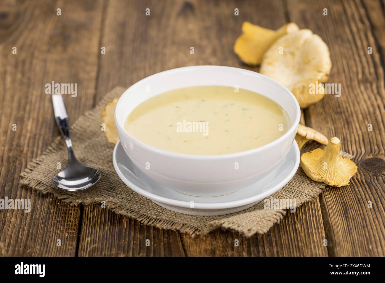 Portion frische Chanterelle-Suppe Nahaufnahme, selektiver Fokus Stockfoto