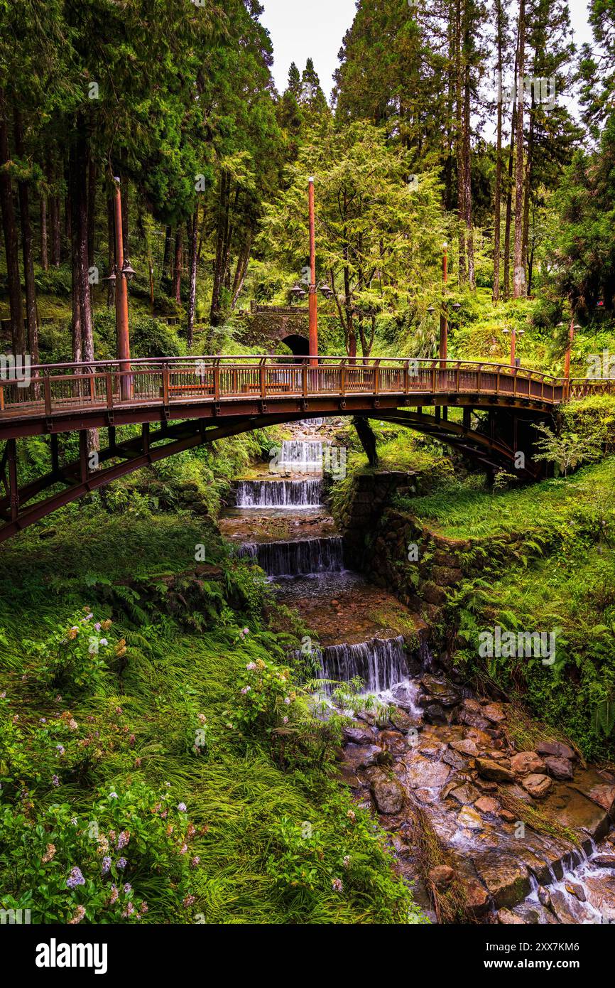 Wald und ein Fluss in den Bergen Taiwans Stockfoto