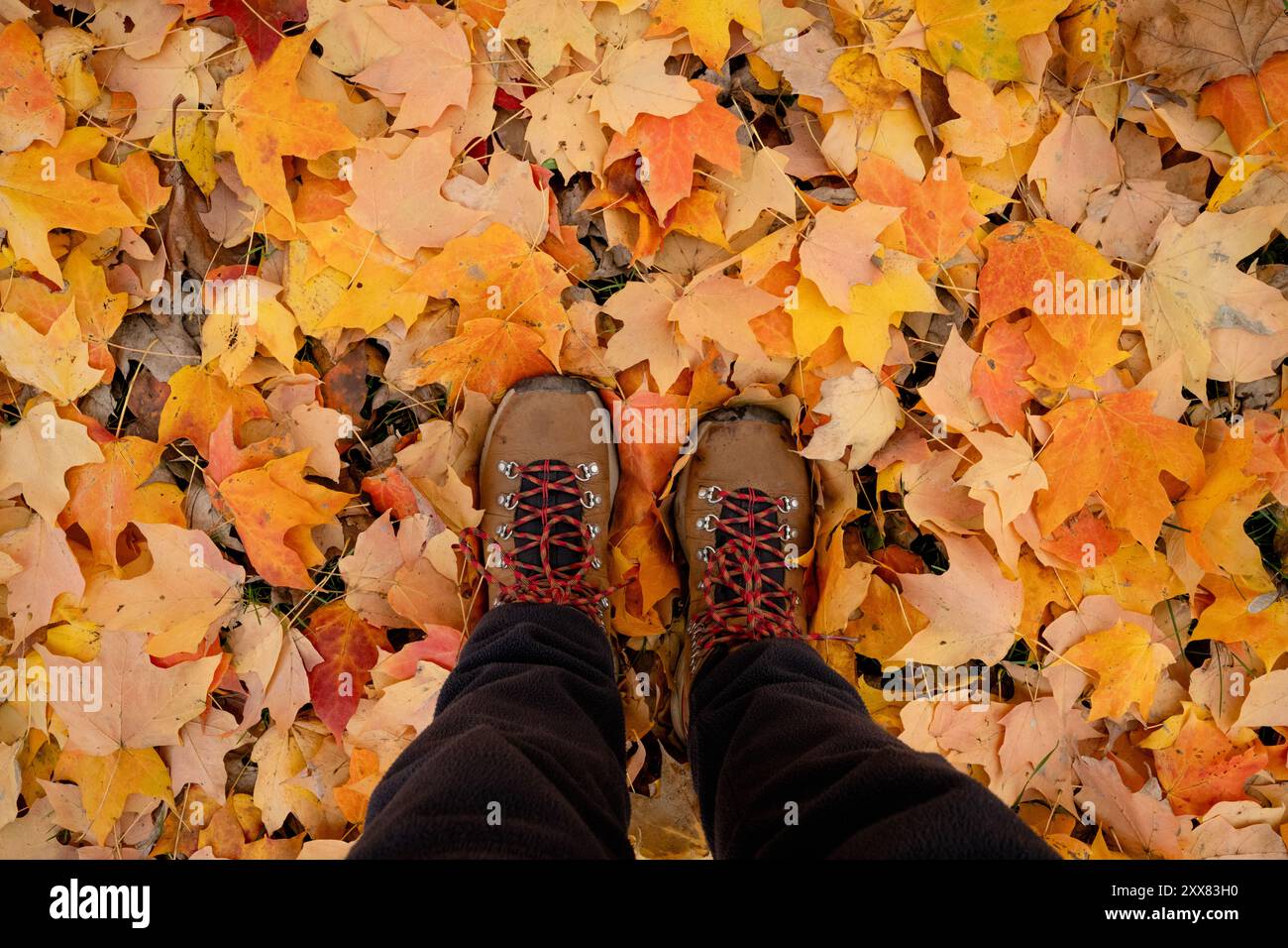 Flache Wanderer mit Wanderschuhen in Herbstlaub Stockfoto