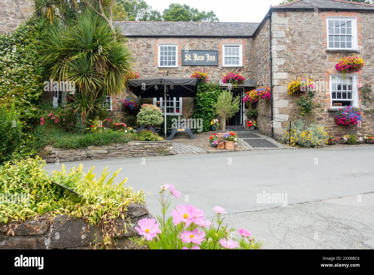 Blick auf das St Kew Inn im Sommer mit Blumen in voller Blüte im Dorf St Kew, Cornwall, England Stockfoto