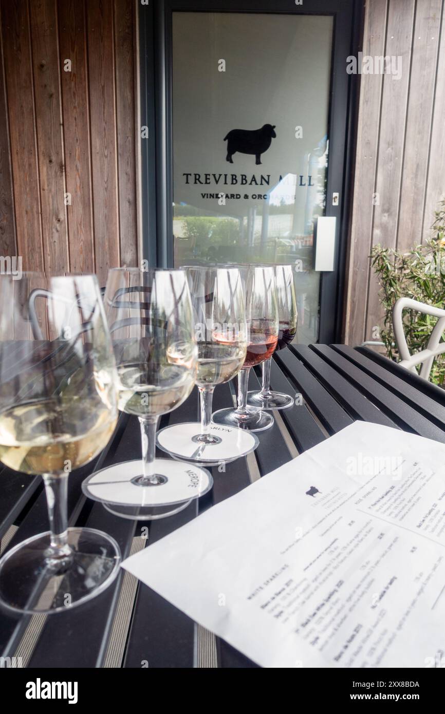 Eine Auswahl an Weinen, die während einer Weinprobe im Trevibban Mill Vineyard, Padstow, Cornwall verkostet werden Stockfoto