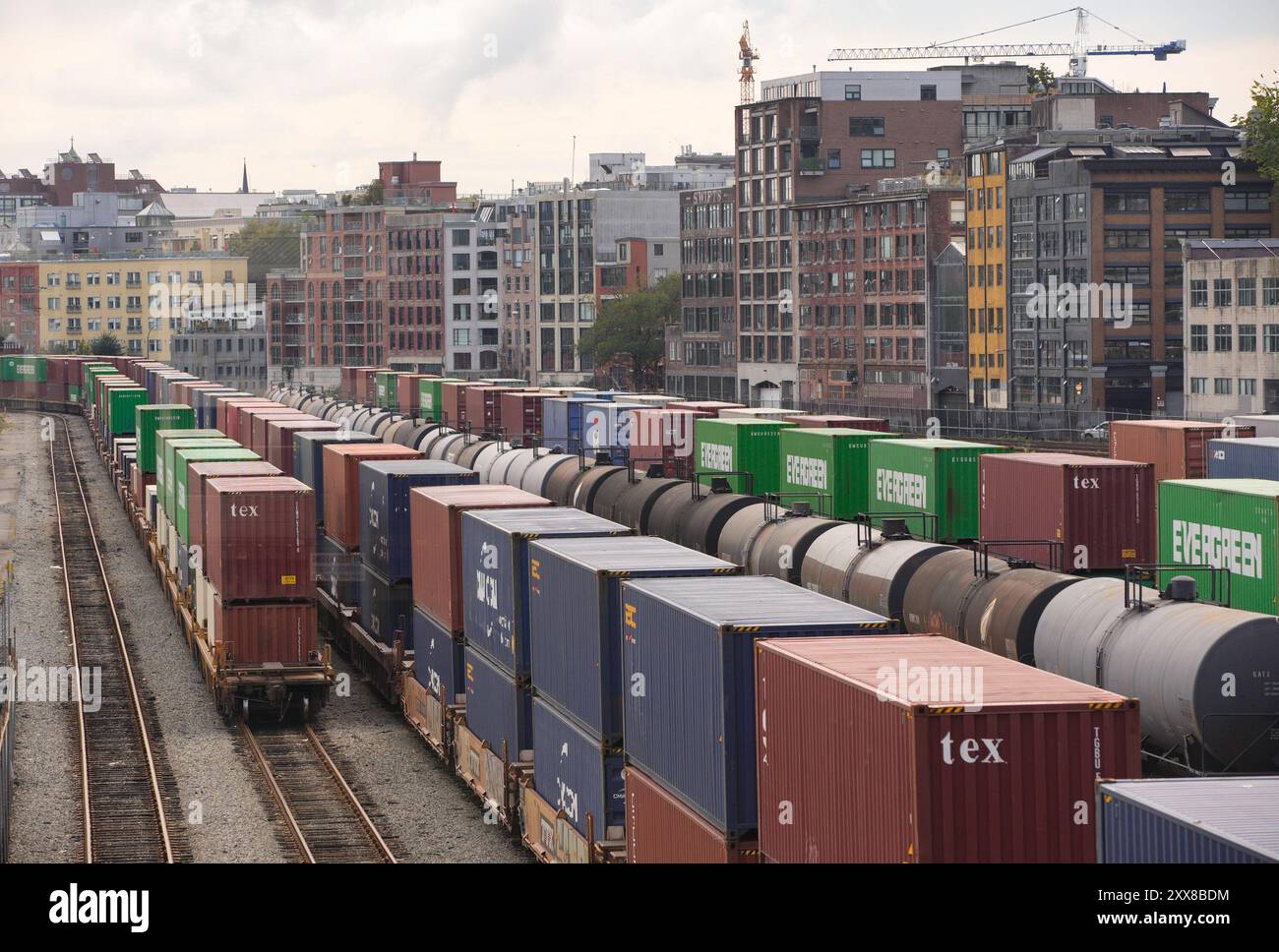 Vancouver, Kanada. August 2024. Die Züge sitzen am 22. August 2024 auf den Gleisen der Canadian Pacific Railway (CPR) am Bahnhofsbahnhof in der Innenstadt von Vancouver, British Columbia, Kanada. Die Züge durch Kanada kamen am Donnerstag aufgrund des Streiks von 9.300 Arbeitern der beiden großen Eisenbahnunternehmen Canadian National Railway (CN Rail) und Canadian Pacific Kansas City (CPKC) zum Stillstand. Quelle: Liang Sen/Xinhua/Alamy Live News Stockfoto