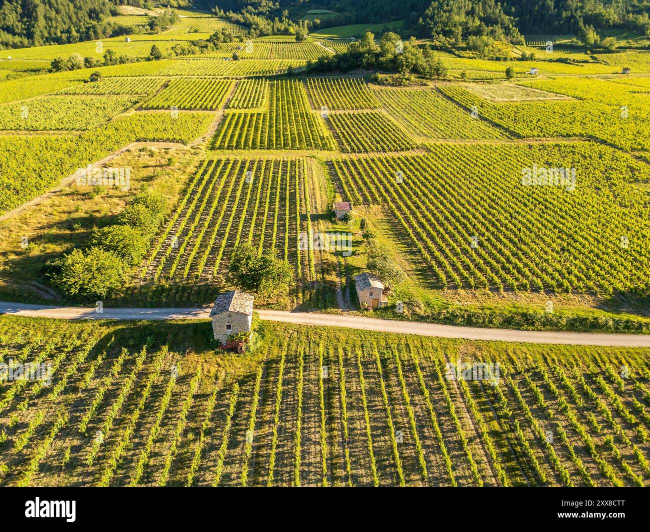 Frankreich, Drôme, Drôme provenzale, Châtillon-en-Diois, der Weg der Weinberge im Herzen der Weinberge, die für die Erzeugung der Clairette de die genutzt werden (Luftaufnahme) Stockfoto