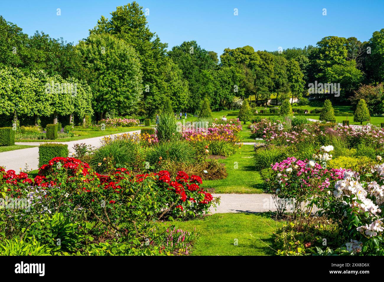 Frankreich, Somme, Argoules, Les jardins de Valloires, die Jardins de Valloires befinden sich im Authie-Tal am Fuße einer majestätischen Zisterzienserabtei und sind das Werk des Landschaftsgärtners Gilles Clément. Die Jardins de Valloires, die als bemerkenswerter Garten gelistet sind, sind eine Schatzgrube mit über 5.000 Arten, die auf 8 Hektar verteilt sind. Es gibt nicht nur einen, sondern fünf stimmungsvolle Gärten, die man besuchen kann, wenn sich die Jahreszeiten ändern. Stockfoto