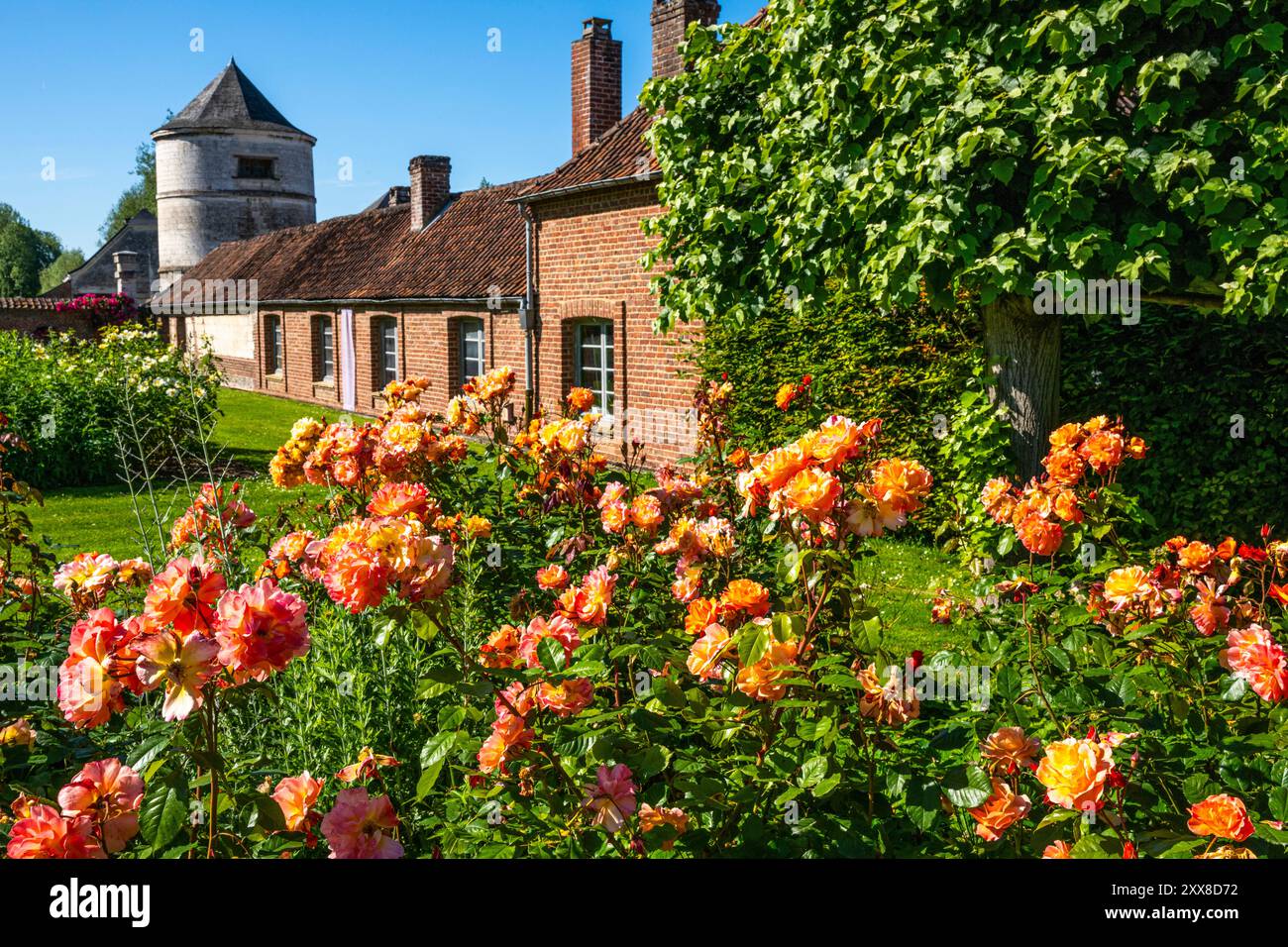 Frankreich, Somme, Argoules, Les jardins de Valloires, die Jardins de Valloires befinden sich im Authie-Tal am Fuße einer majestätischen Zisterzienserabtei und sind das Werk des Landschaftsgärtners Gilles Clément. Die Jardins de Valloires, die als bemerkenswerter Garten gelistet sind, sind eine Schatzgrube mit über 5.000 Arten, die auf 8 Hektar verteilt sind. Es gibt nicht nur einen, sondern fünf stimmungsvolle Gärten, die man besuchen kann, wenn sich die Jahreszeiten ändern. Stockfoto