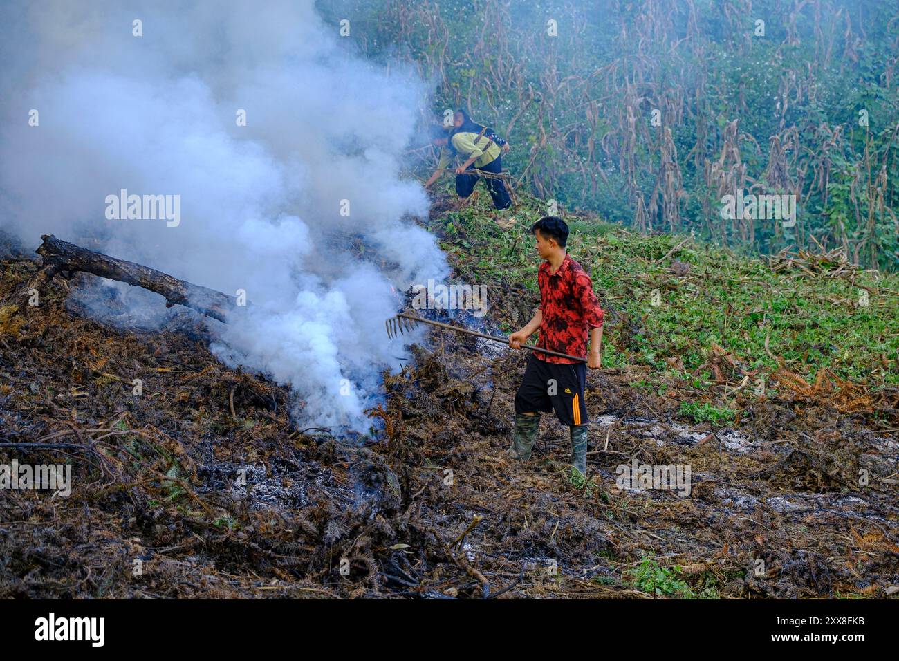 Vietnam, Bac Ha, Hmong Village, Slash and Burn Farming Stockfoto