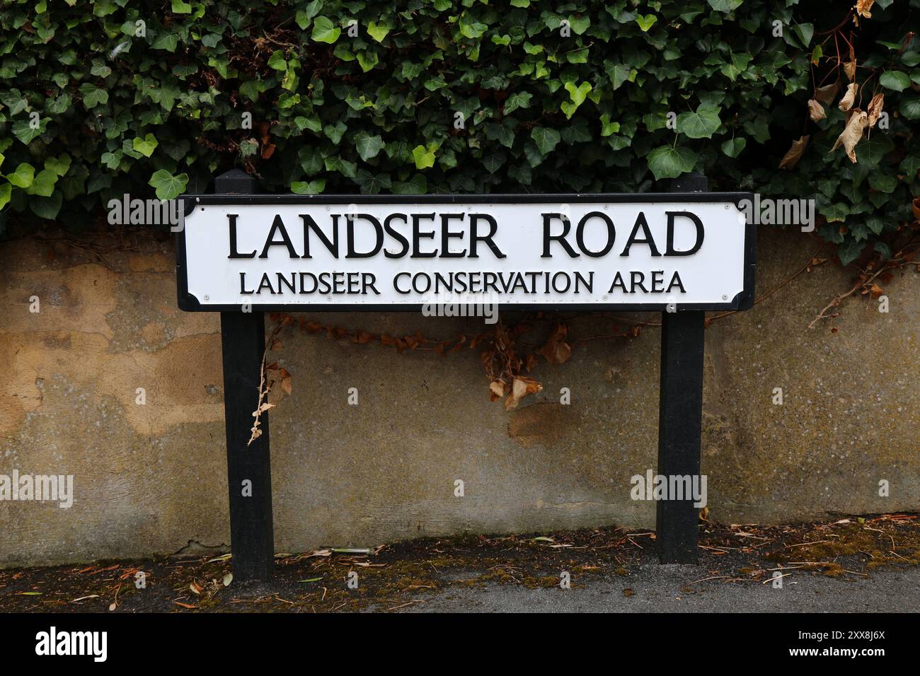 Sutton Town in London Borough of Sutton in South London, Großbritannien. Landseer Road Schutzgebiet. Stockfoto