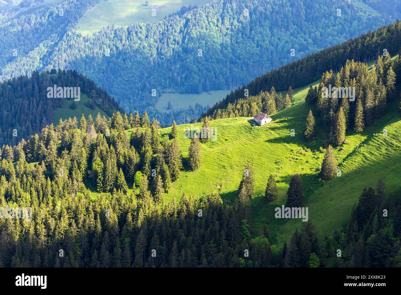 Schweiz, Kanton Waadt, Montreux, Wandern Sie in Richtung der Rochers de Naye auf den Höhen von Montreux Stockfoto