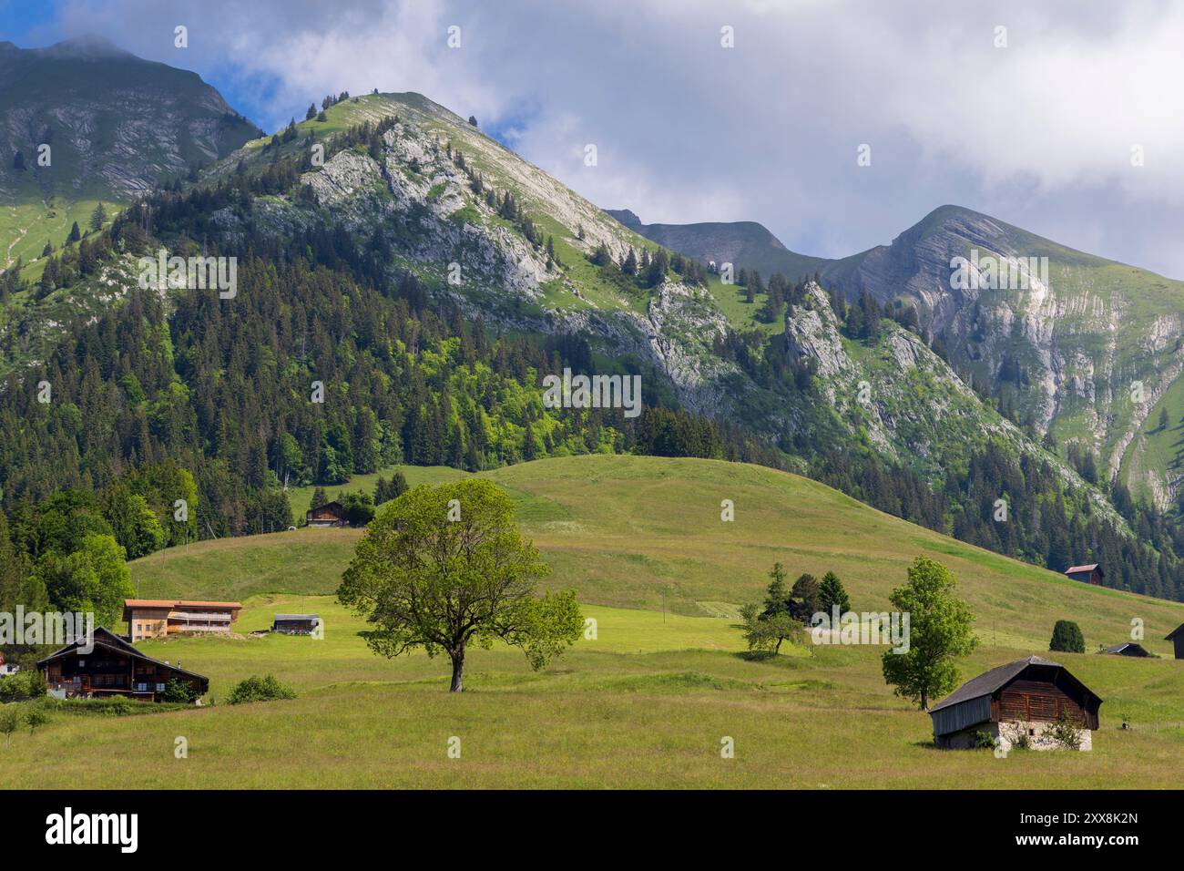 Schweiz, Kanton Waadt, Chateau d'Oex, das von Bergweiden dominierte Tal Stockfoto