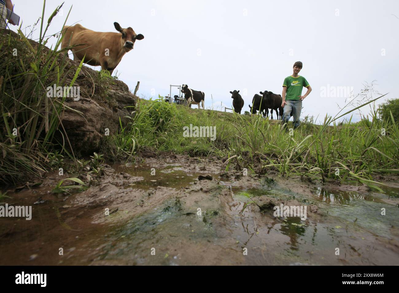 Fracking und Bohren nach Schiefergas führen zur Entzündung von Trinkwasser. Stockfoto